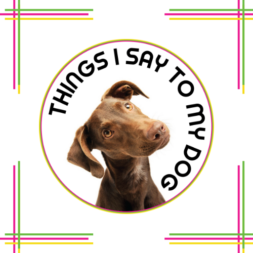 Things I say To My Dog